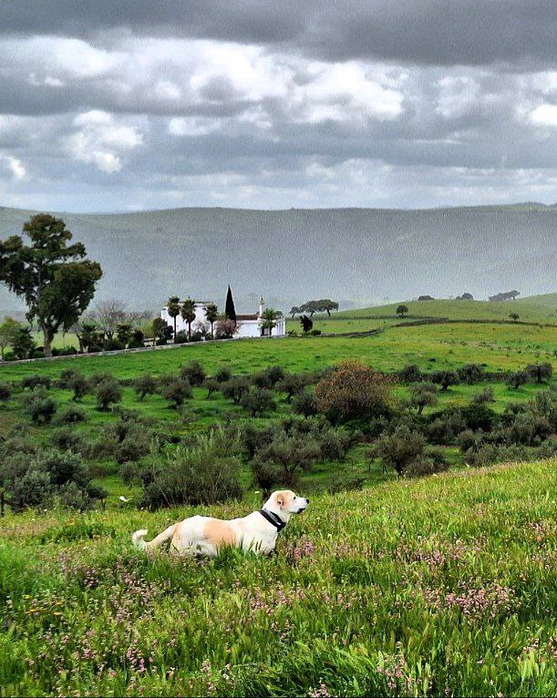 la candela, valverde